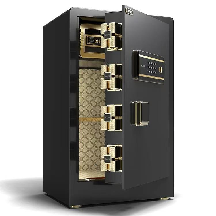 WhatsApp Image 2026-01-08 at 11.00